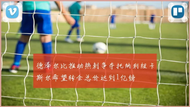 德泽尔比推动热刺争夺托纳利纽卡斯尔希望转会总价达到1亿镑
