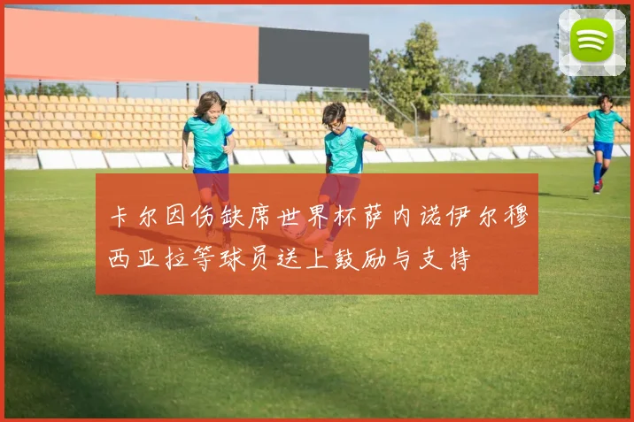 卡尔因伤缺席世界杯萨内诺伊尔穆西亚拉等球员送上鼓励与支持